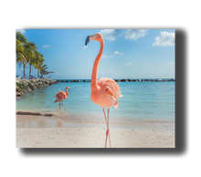 Laden Sie das Bild in den Galerie-Viewer, 3D Poster mit Flamingo