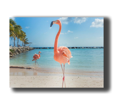 3D Poster mit Flamingo