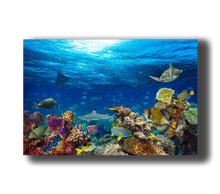 Load image into Gallery viewer, 3D Poster mit Korallenriff