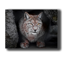 Load image into Gallery viewer, 3D Poster mit Luchs