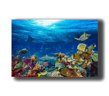 Laden Sie das Bild in den Galerie-Viewer, 3D Poster mit Korallenriff
