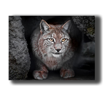 Load image into Gallery viewer, 3D Poster mit Luchs
